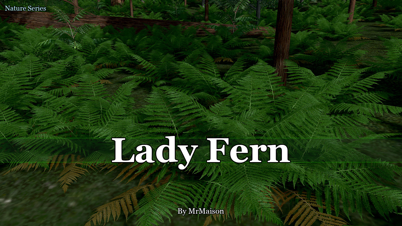 Lady Fern Promo.jpg
